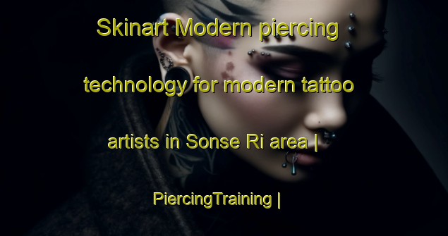 Skinart Modern piercing technology for modern tattoo artists in Sonse Ri area | PiercingTraining | PiercingClasses | SkinartTraining-Republic of Korea